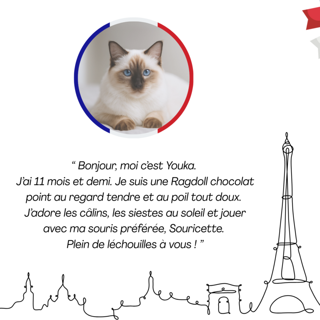 Affiche expositions Youka ragdoll